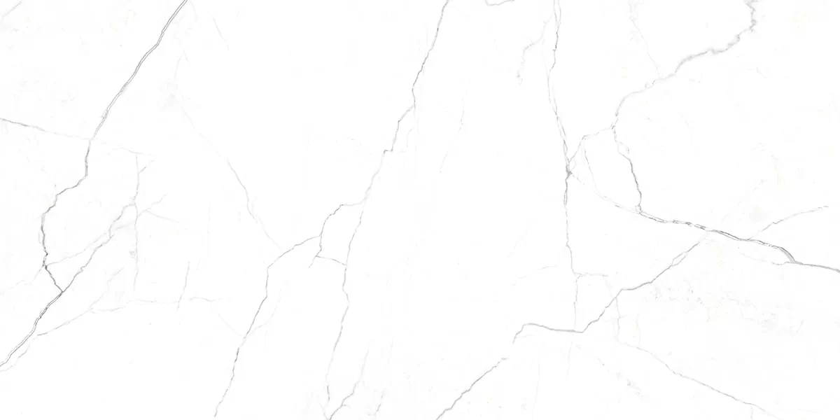 Керамогранит G391 Neiva Elegant MR 60x120