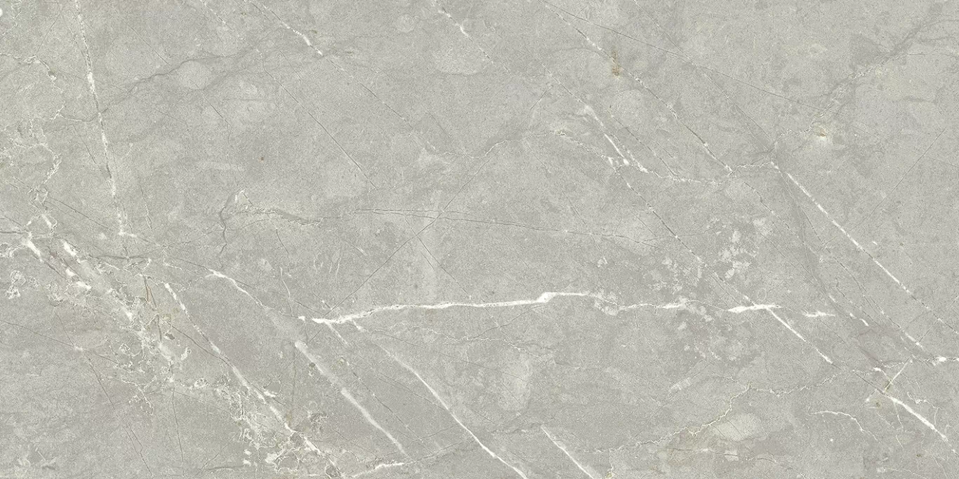 Керамогранит Nevada Grey 60x120