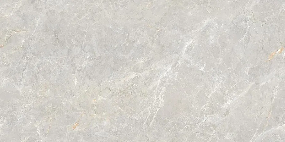 Керамогранит N20584 Soya Silver Carving 80x160