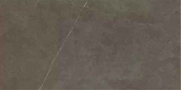 Керамогранит Northon Taupe Pul Rect. 59x119