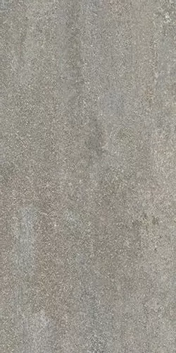 Керамогранит DD204300R Про Нордик серый светлый натуральный обрезной 30*60