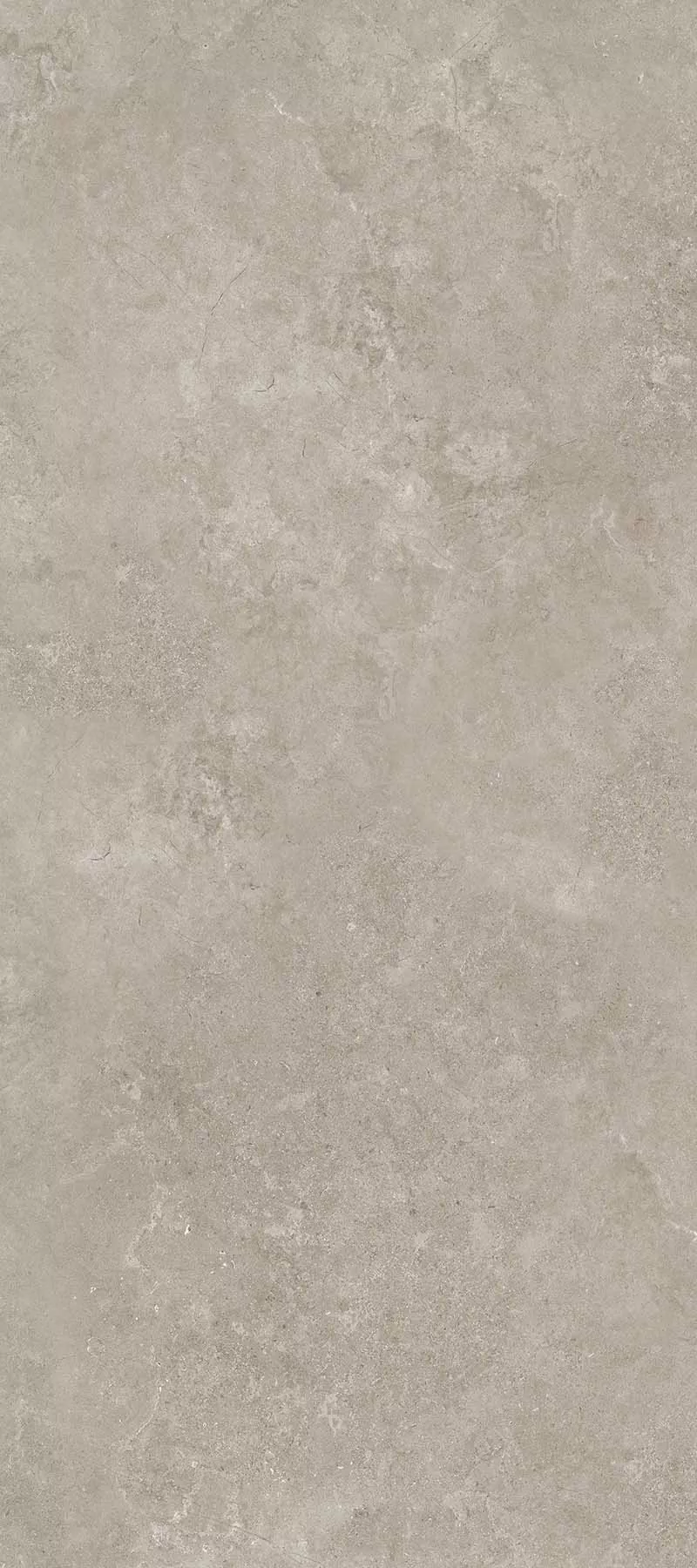 Керамогранит 11019 Shell LG 60х120