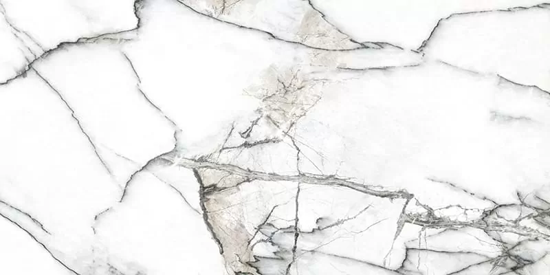 Керамогранит Premiere White Ep 60x120