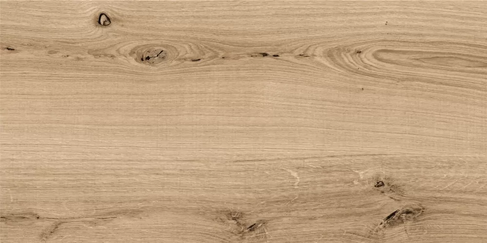 Керамогранит C-WS4O152D Woodhouse темно-бежевый 29,7х59,8