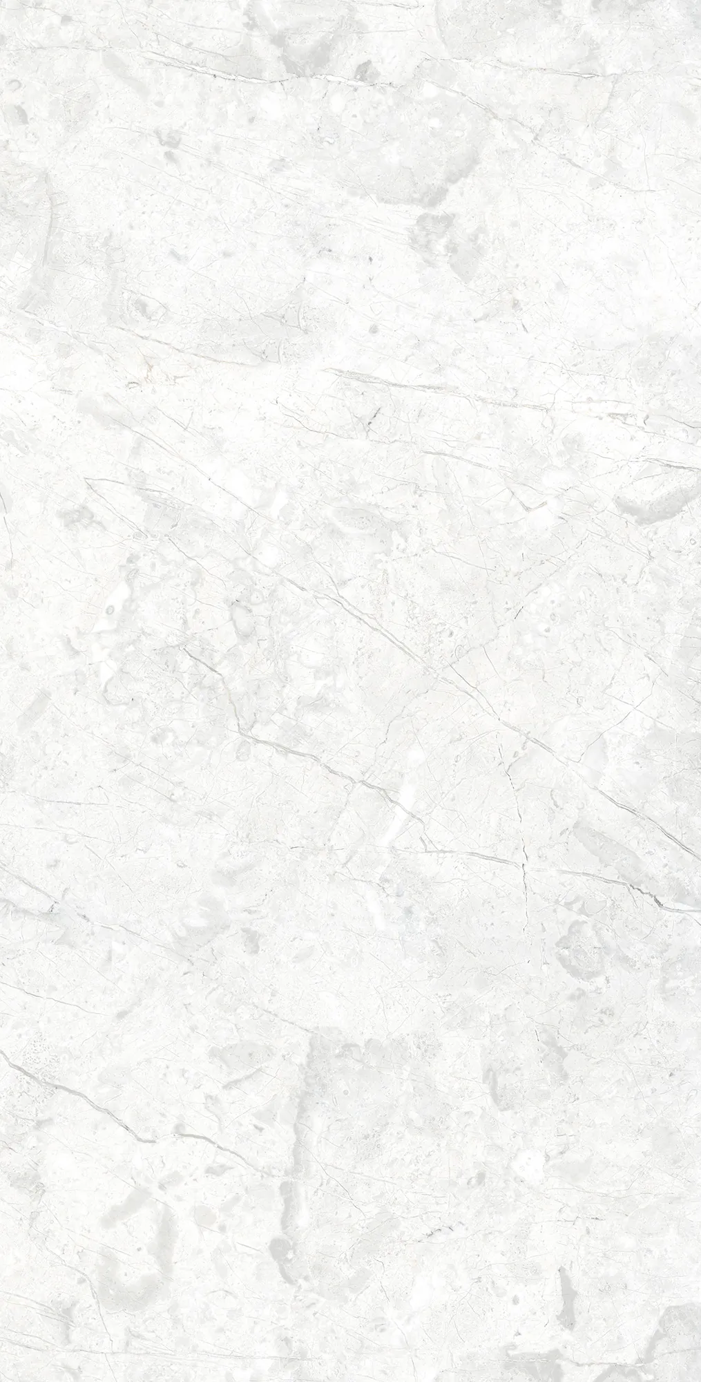 Керамогранит RT7015-A Marcus Bianco Matt Rustic 60x120