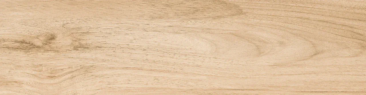 Керамогранит 0045 NATALINA 60х15х08