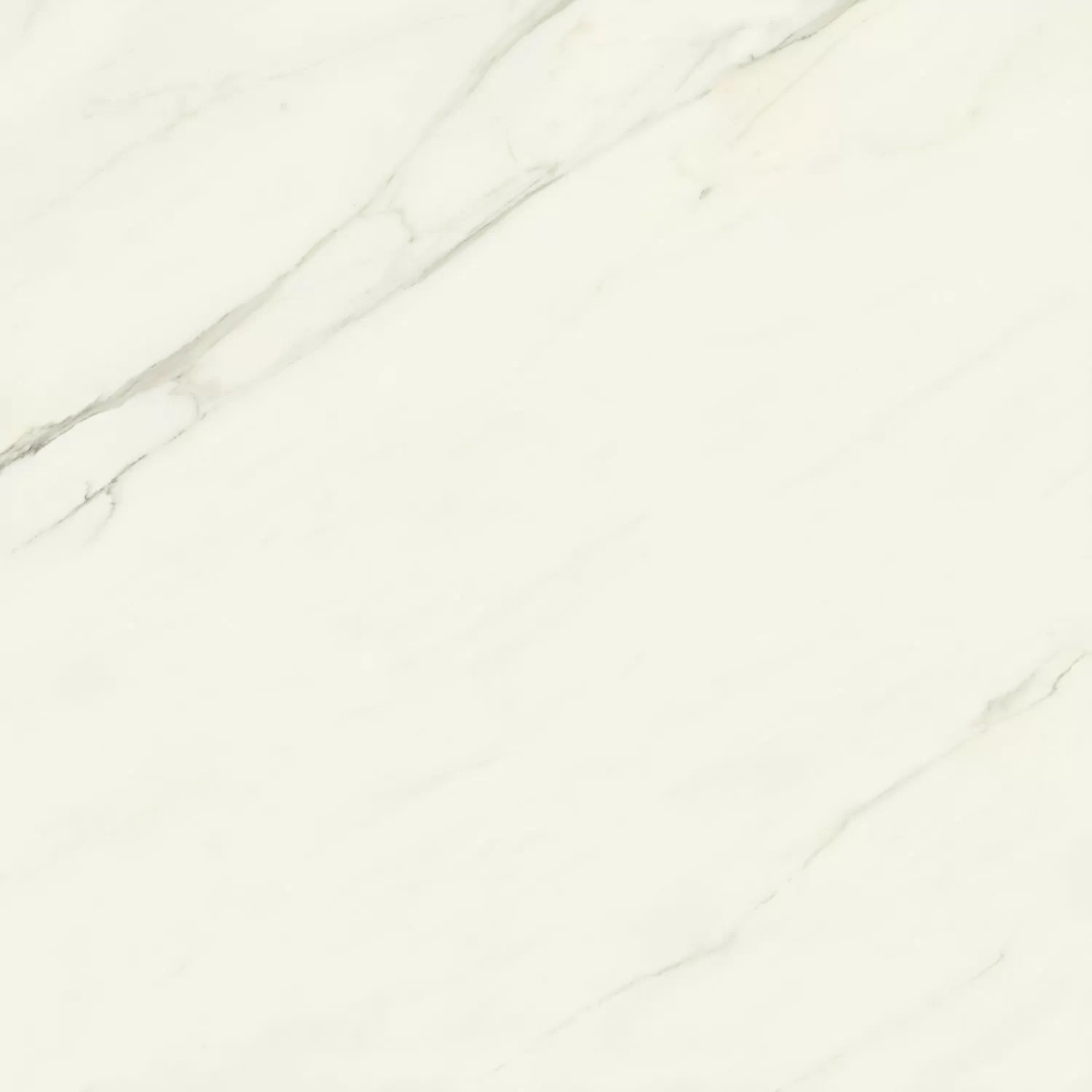 Керамогранит AJII Marvel Meraviglia Calacatta Meraviglia Velvet 120x120