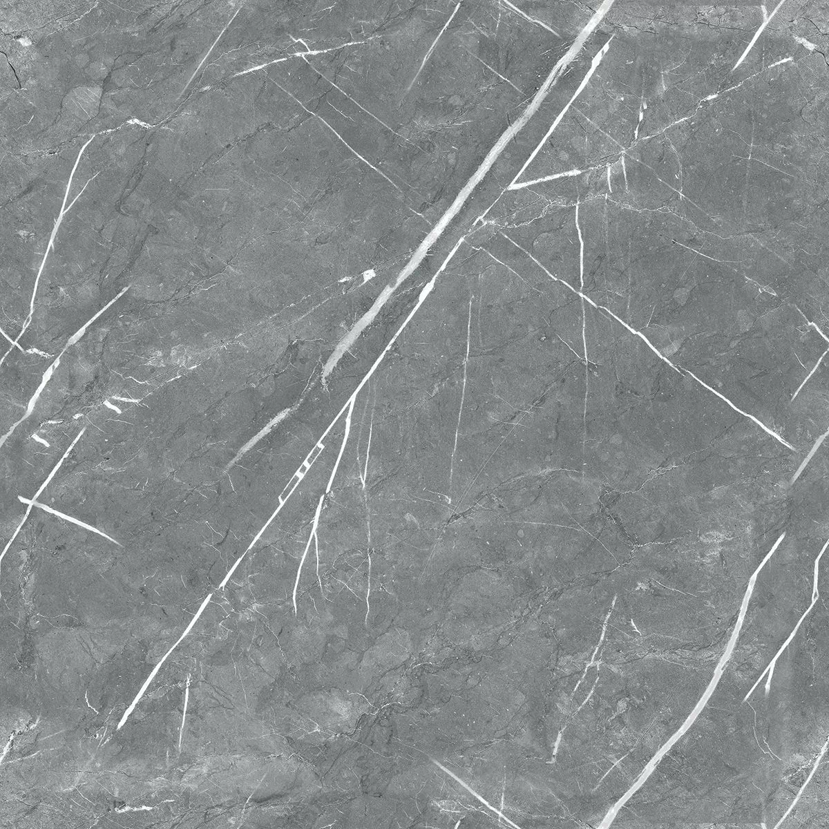 Керамогранит R_PR1019 Carnico Grey Polished 60x60