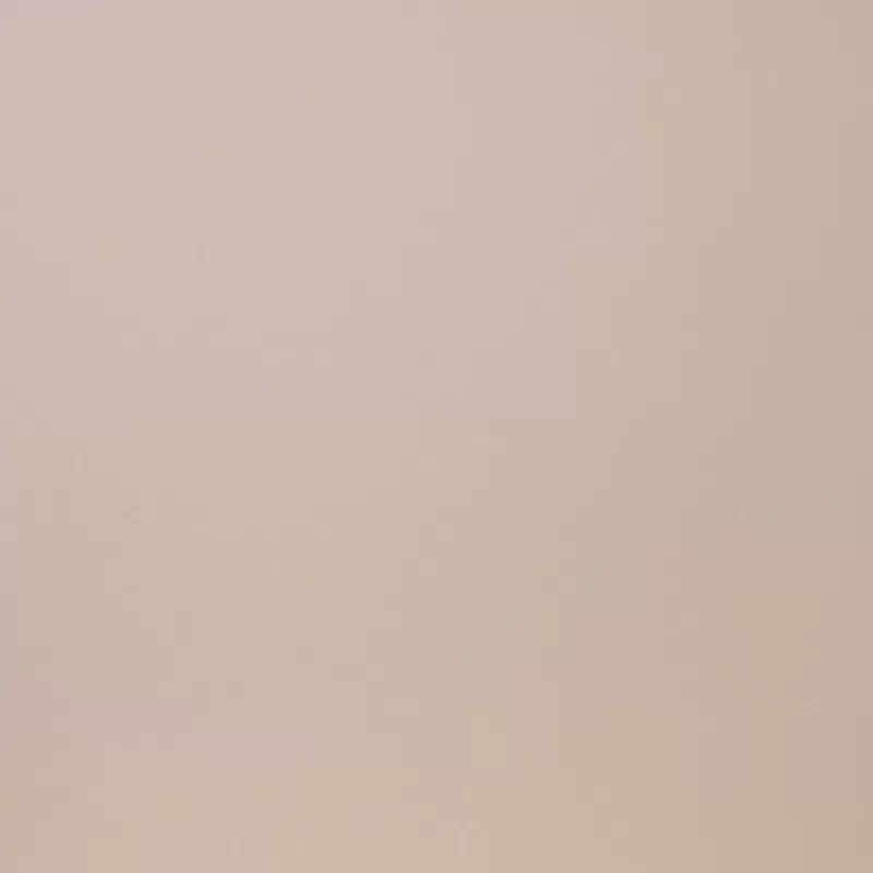 Керамогранит E-110/M Моноколор 60x60