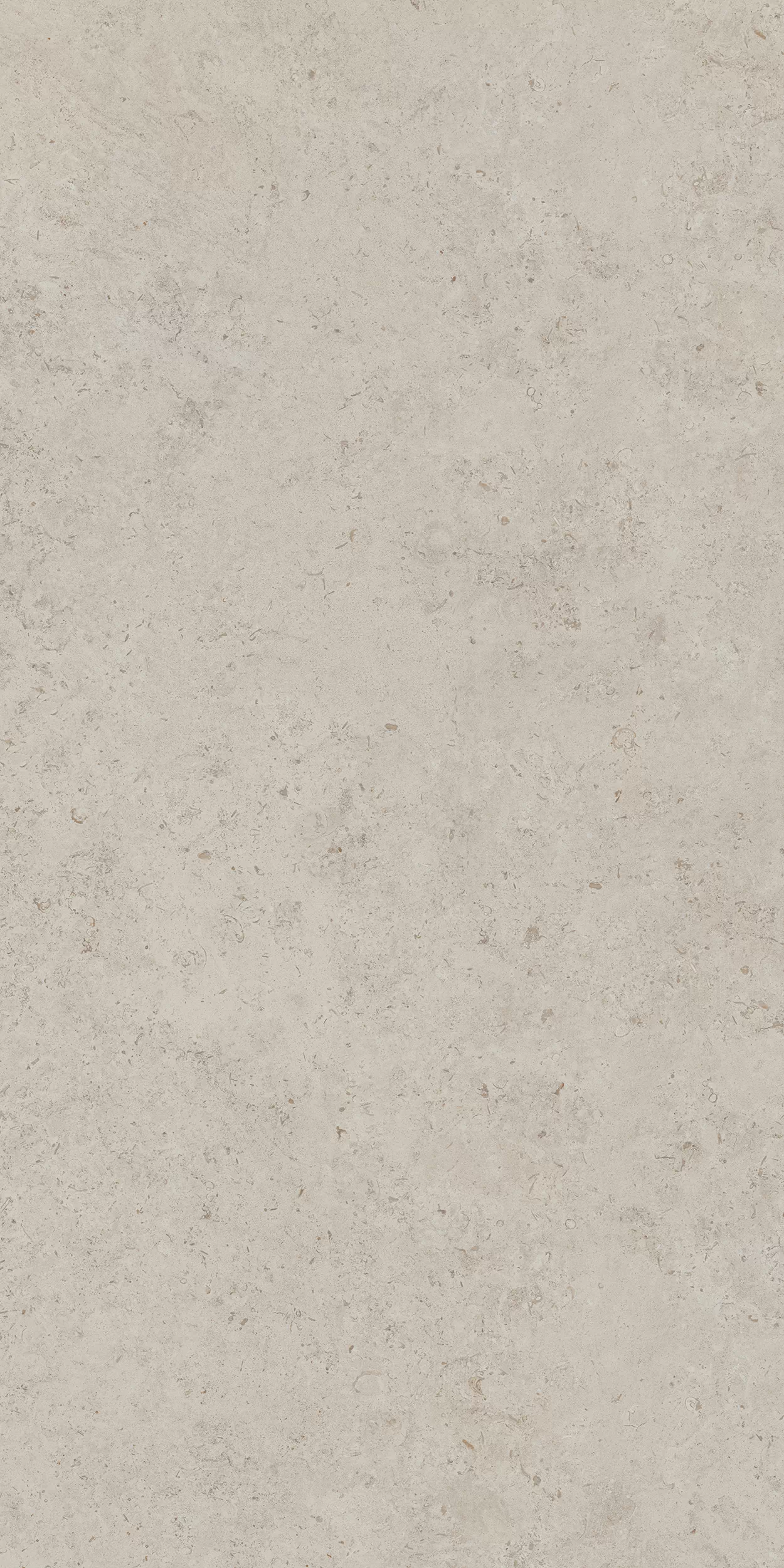 Керамогранит DD590400R Про Лаймстоун АТ бежевый натуральный обрезной R10 119,5х238,5