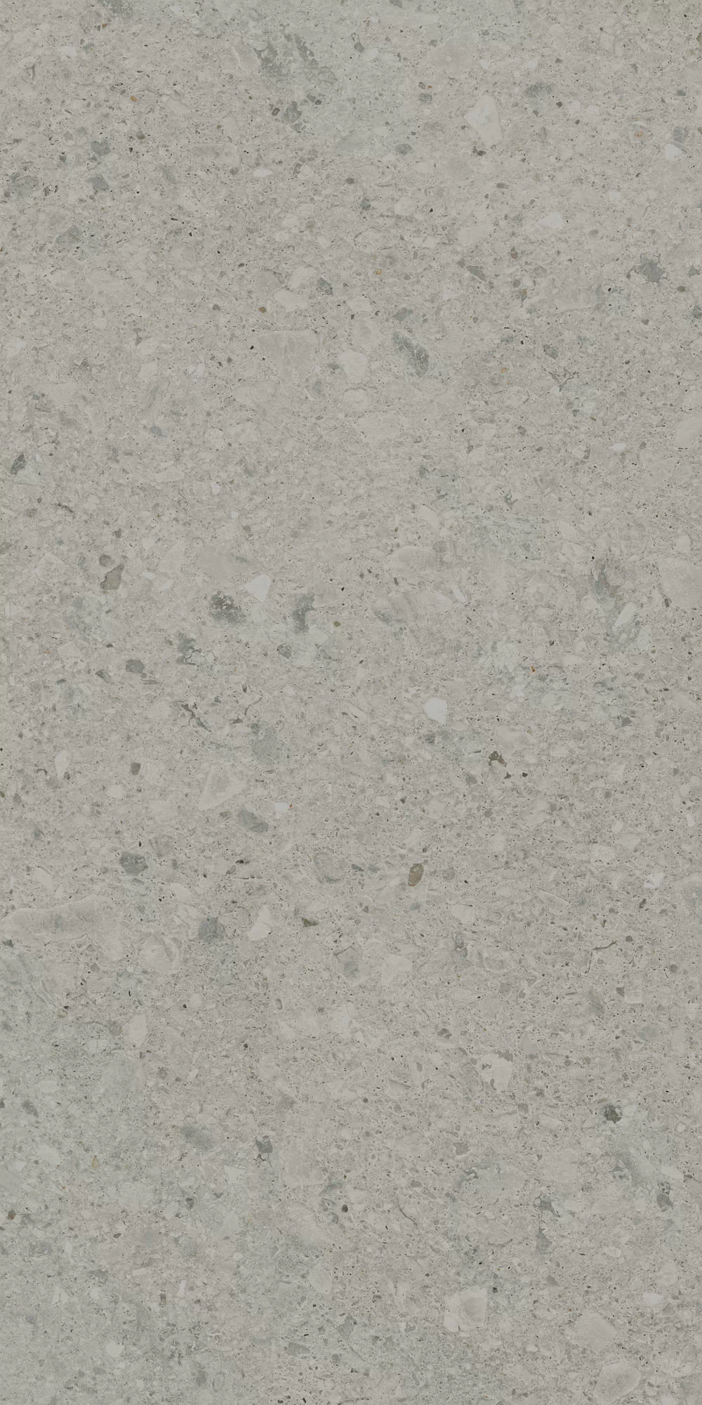 Керамогранит DD591400R Чеппо ди Гре серый матовый обрезной 119,5x238,5x1,1