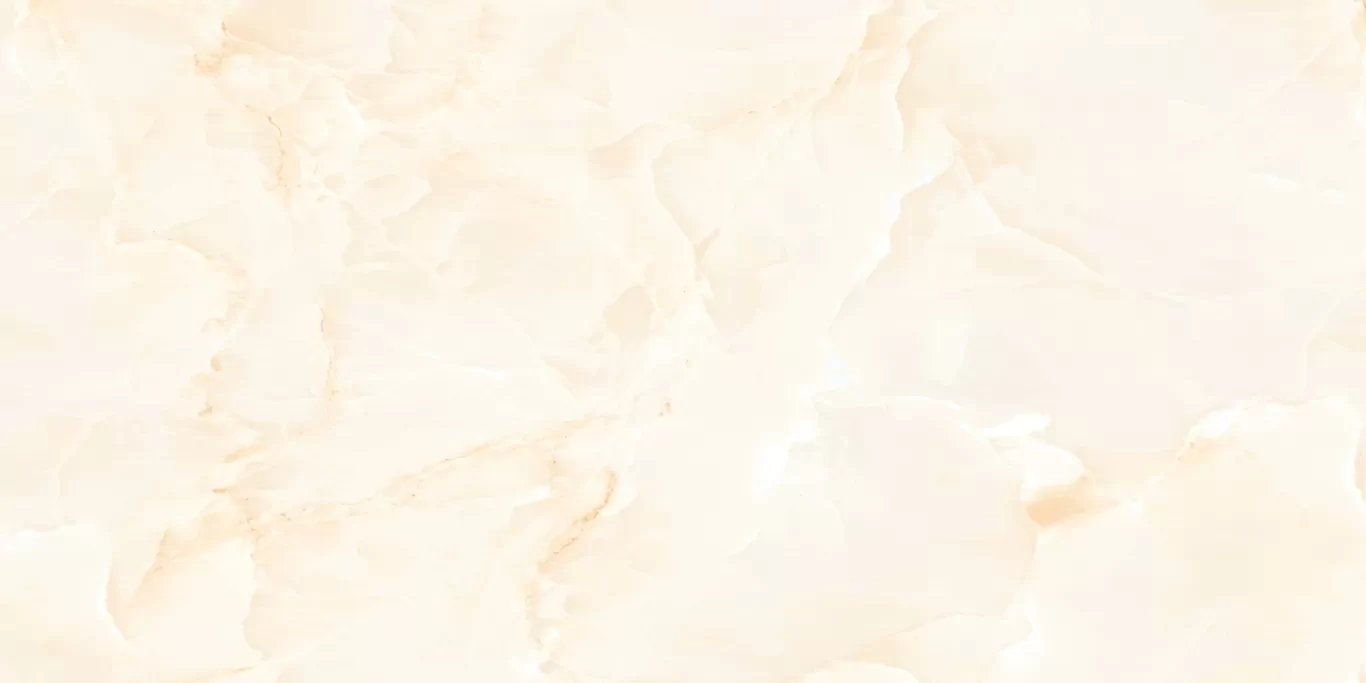 Керамогранит ETONX1223GL60120 Onix Sandy Glossy 60x120