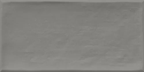 Плитка Etnia Gris 10x20