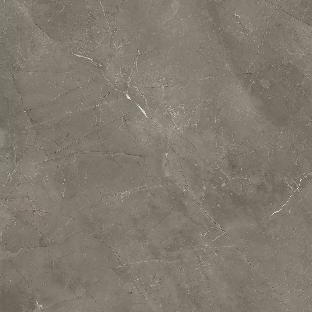 Керамогранит C225800521 Soul Stone Polished 59.4x59.4