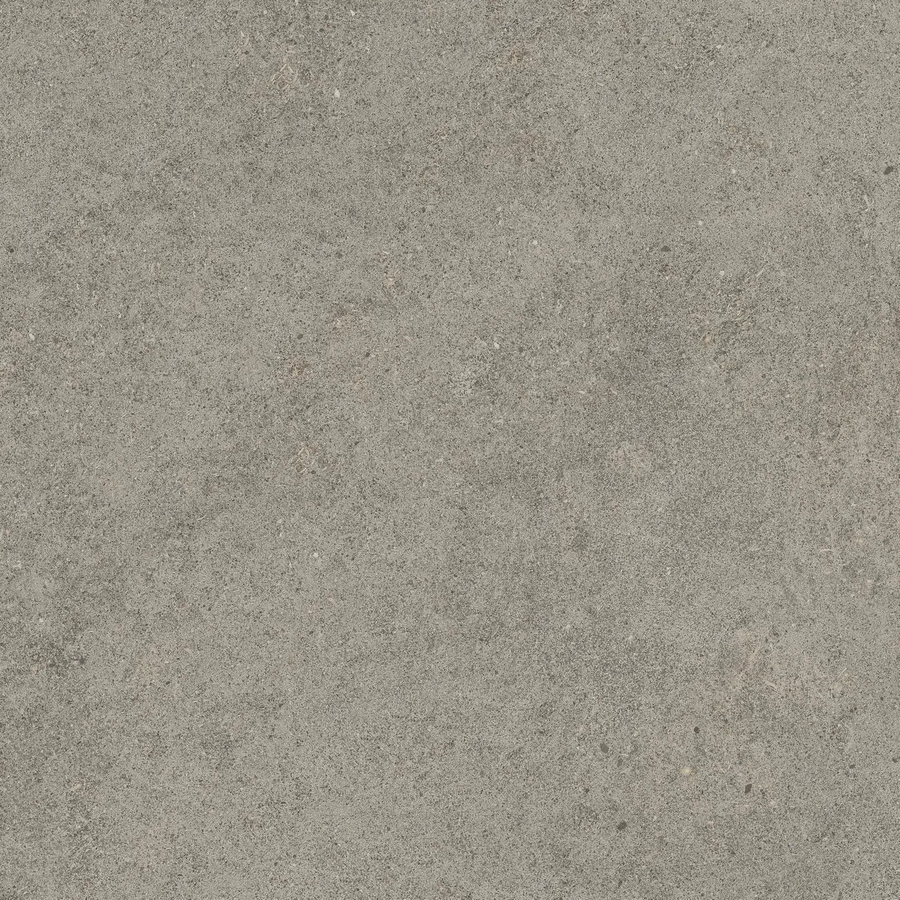 Керамогранит 610010005836 Forte dei Marmi Rock Lunar Grey Lastra 20mm 60x60