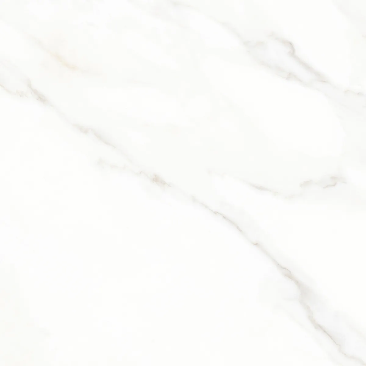 Керамогранит Calacatta Michael белый матовый 60х60