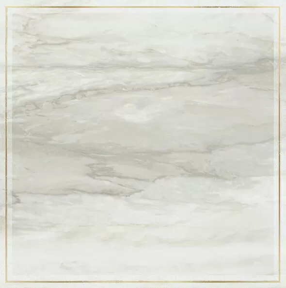 Керамогранит SRPGG Venus Dec. Solitaire Rosone Pav. Gold Grey 60х60
