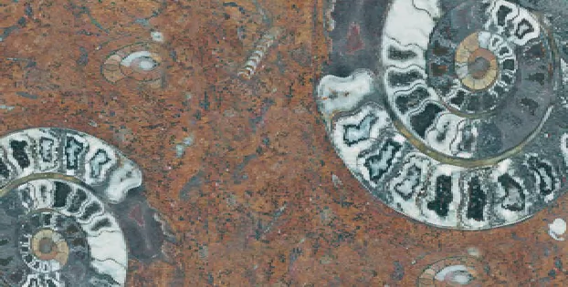 Керамогранит FM3366 Fossil Mix 33х66