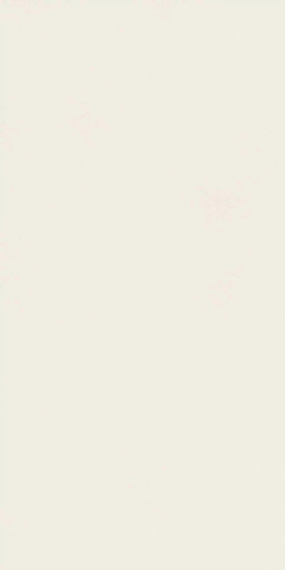 Керамогранит AJKR Absolute White Matte 160x320