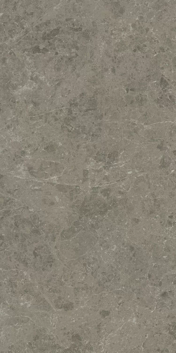 Керамогранит AI8R Marvel Meraviglia Grigio Elegante Velvet 60x120