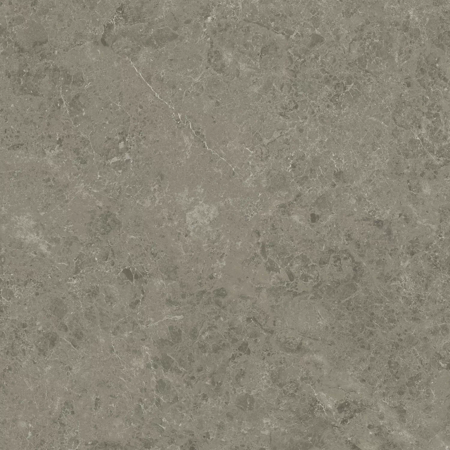 Керамогранит AJIL Marvel Meraviglia Grigio Elegante Velvet 120x120