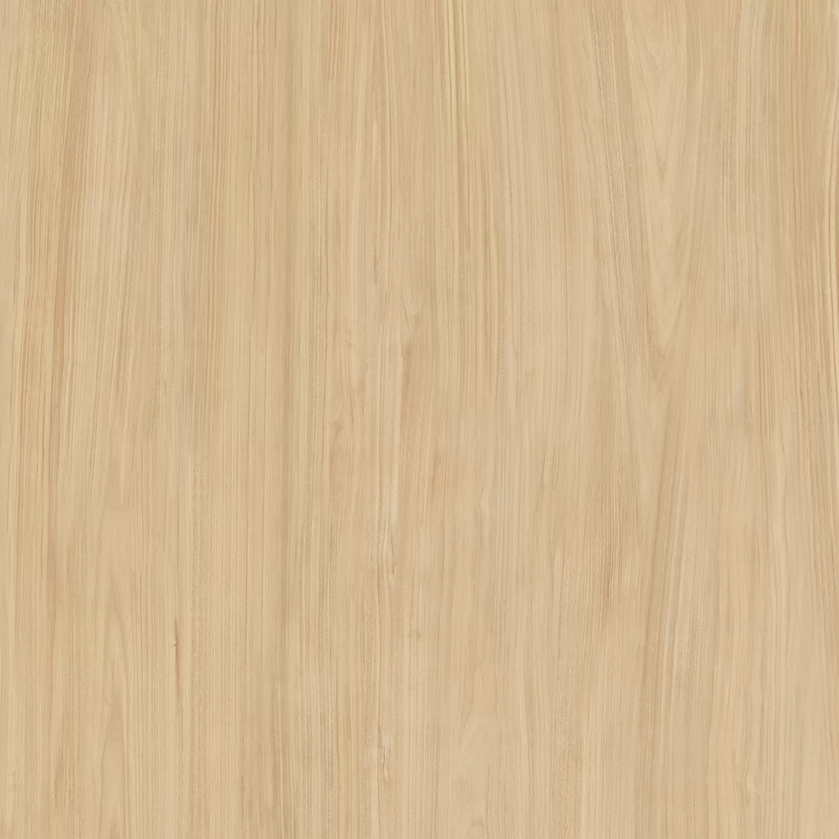 Керамогранит 848463103 Rustic R 60x60