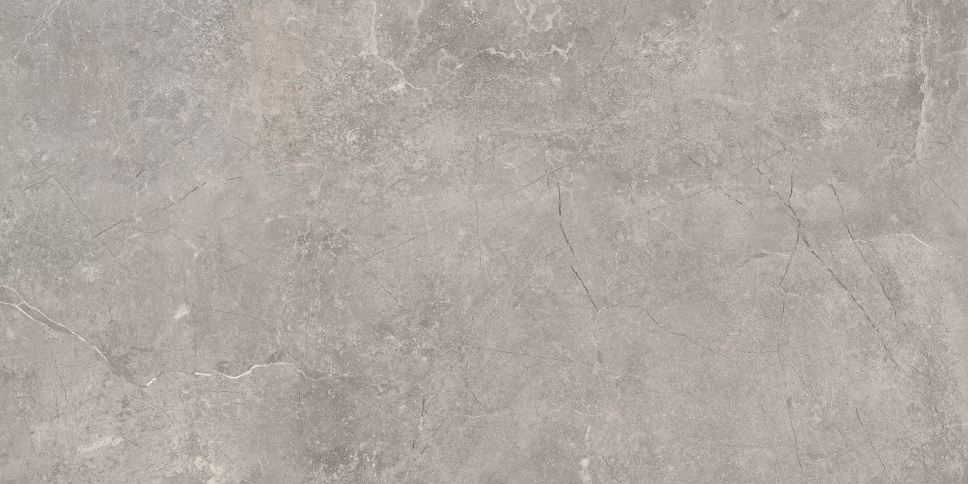 Керамогранит Concept Gray 60x120