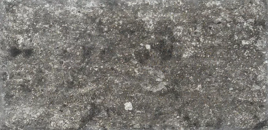 Керамогранит 1048158 New York Wall Street 10x20
