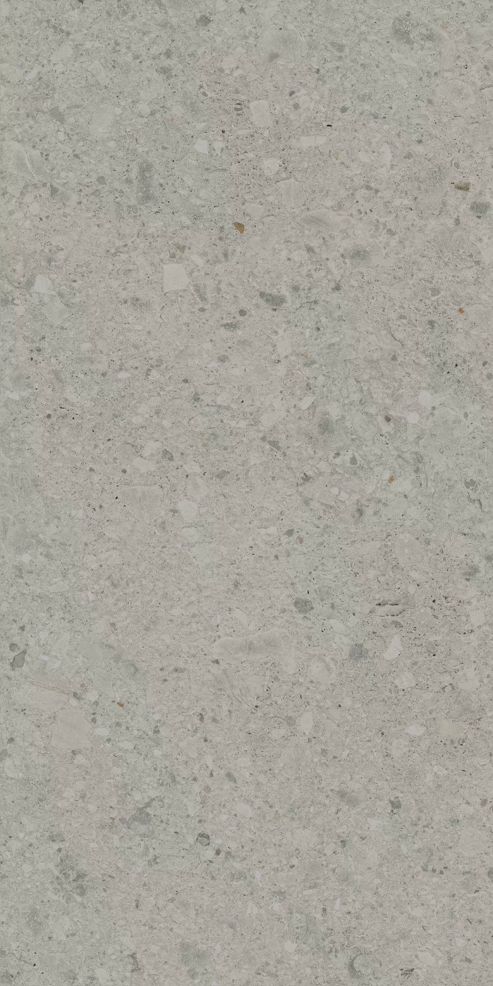 Керамогранит DD591400R Чеппо ди Гре серый матовый обрезной 119,5x238,5x1,1