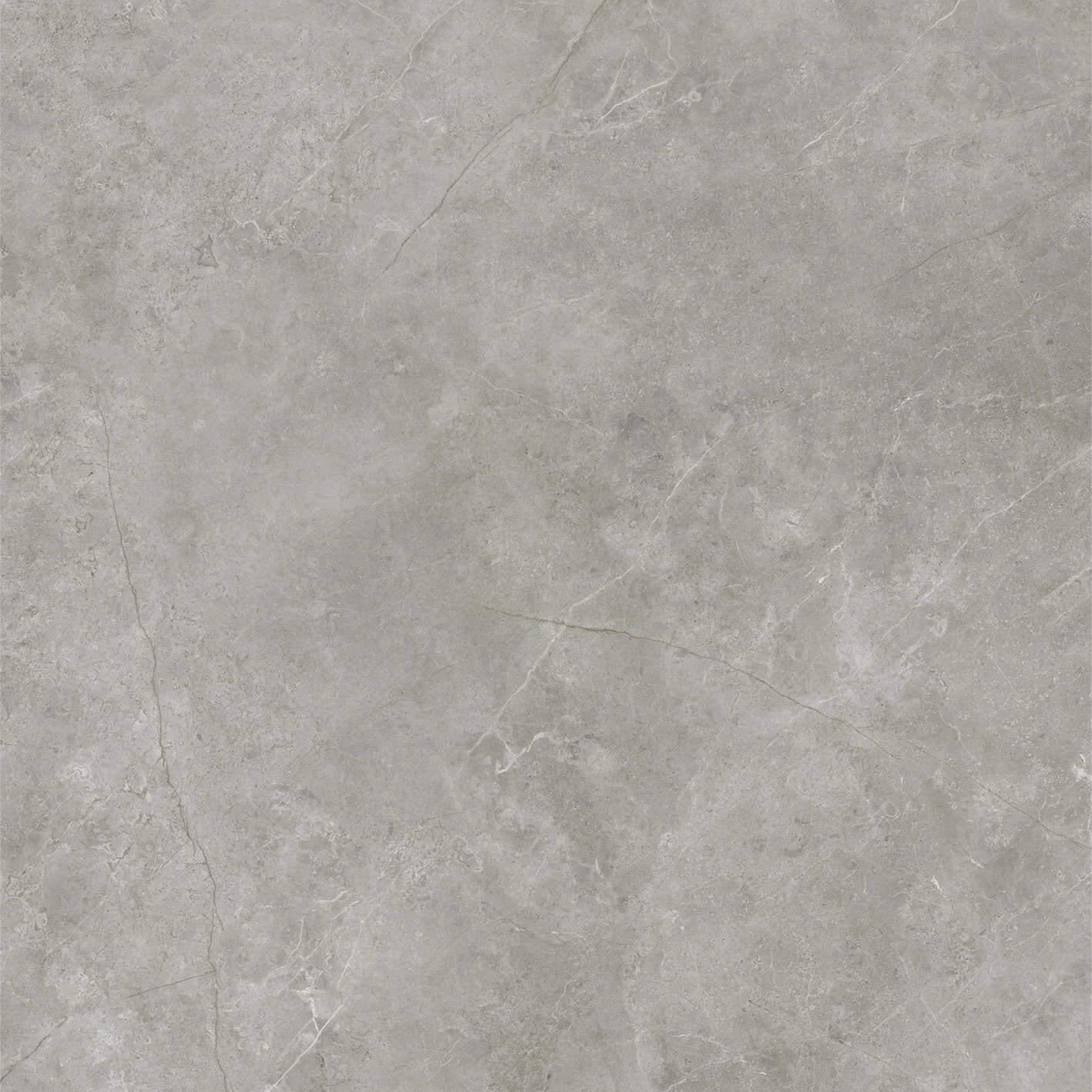 Керамогранит C221101761 Xlight Premium Fiori Di Bosco Silk 6mm 120x120