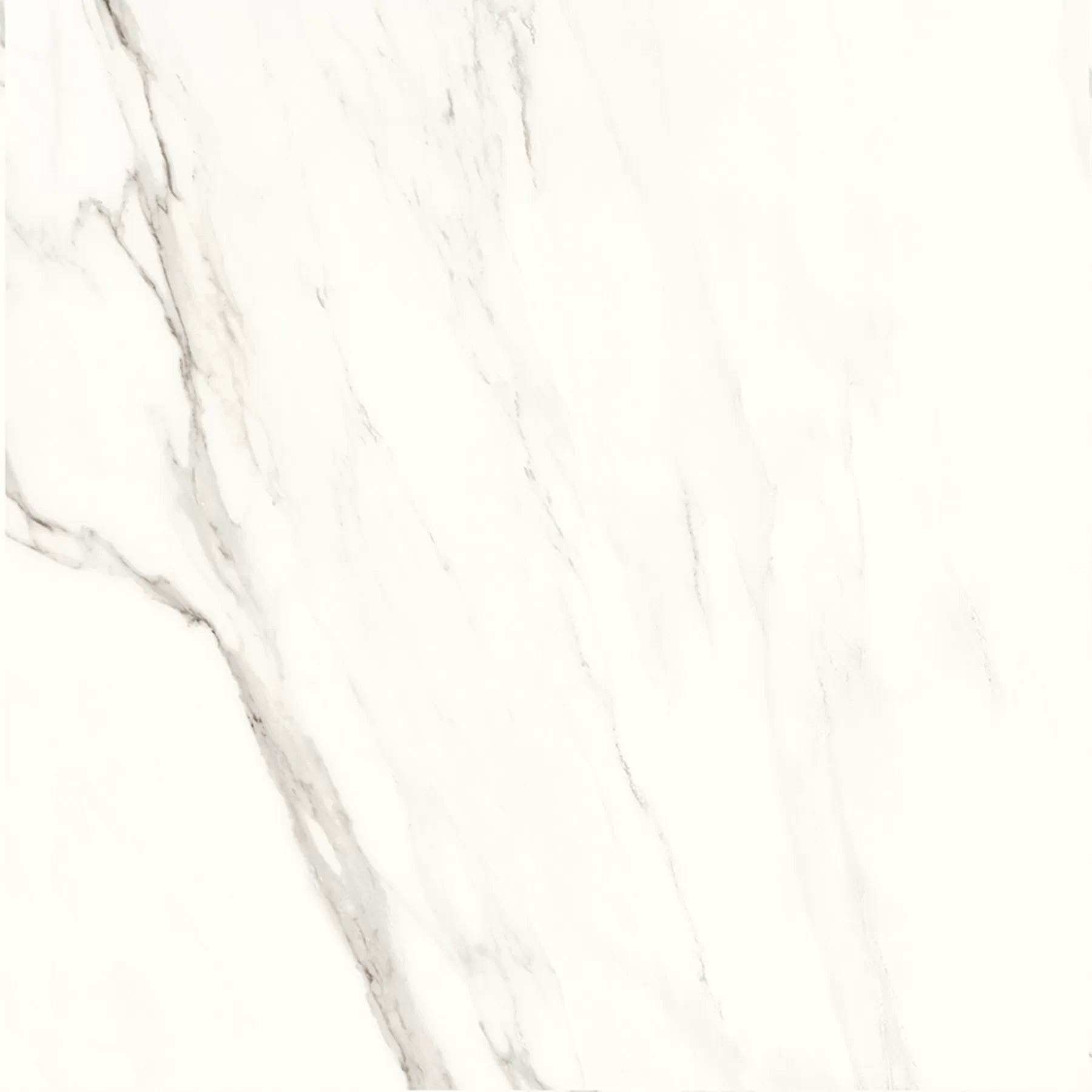 Керамогранит Calacatta Superb полированный 60x60