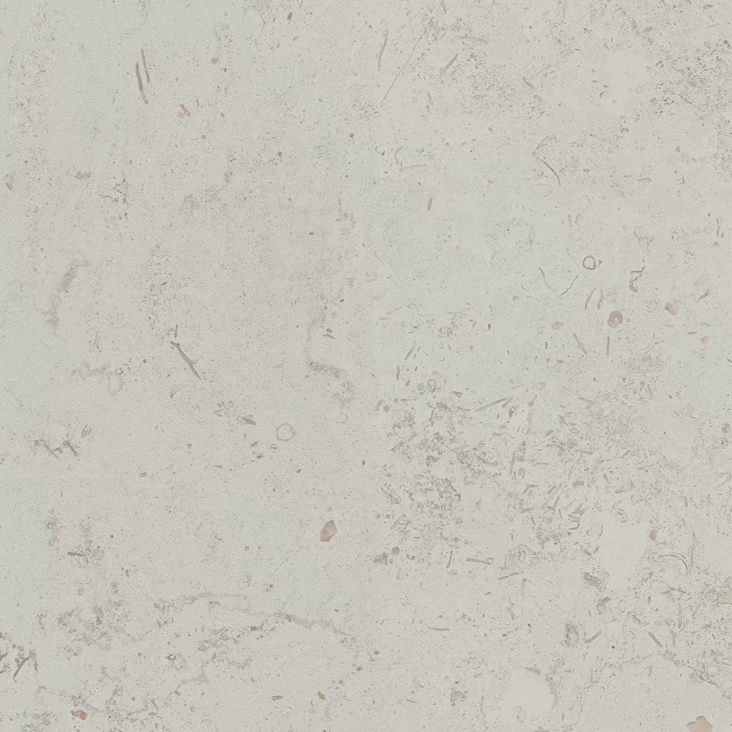 Керамогранит DD641000R Про Лаймстоун серый светлый натуральный обрезной R10 60х60