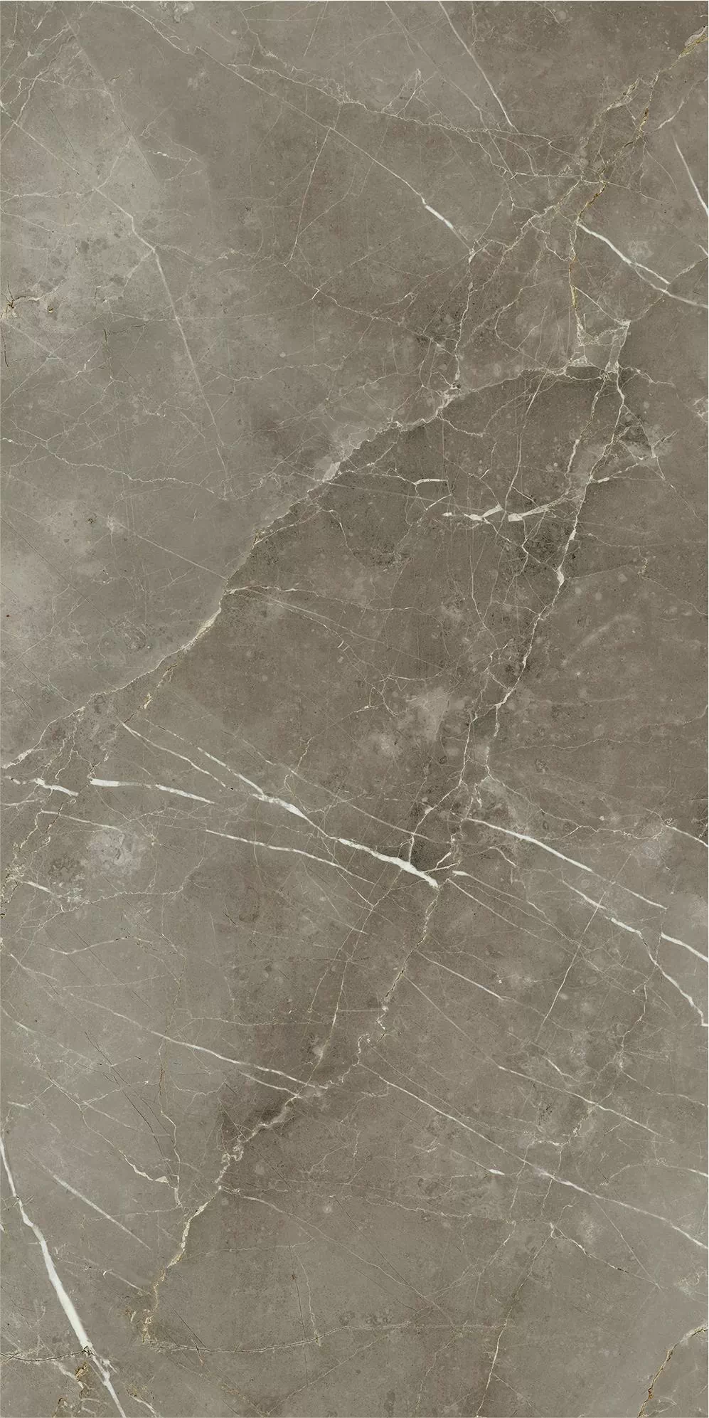 Керамогранит 610010002836 Stellaris Tuscania Grey Nat Ret 60x120