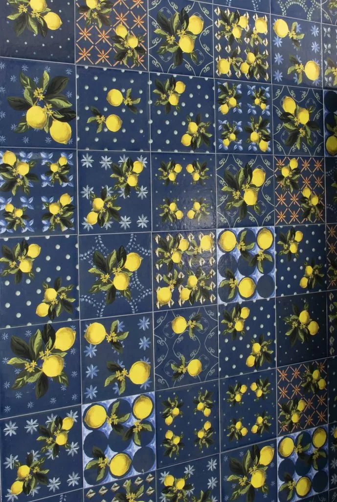 Керамогранит Giardino Bianco Mix Luc 20x20