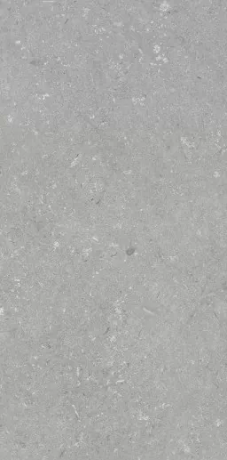 Керамогранит 005485 Shellstone Grigio 60x120