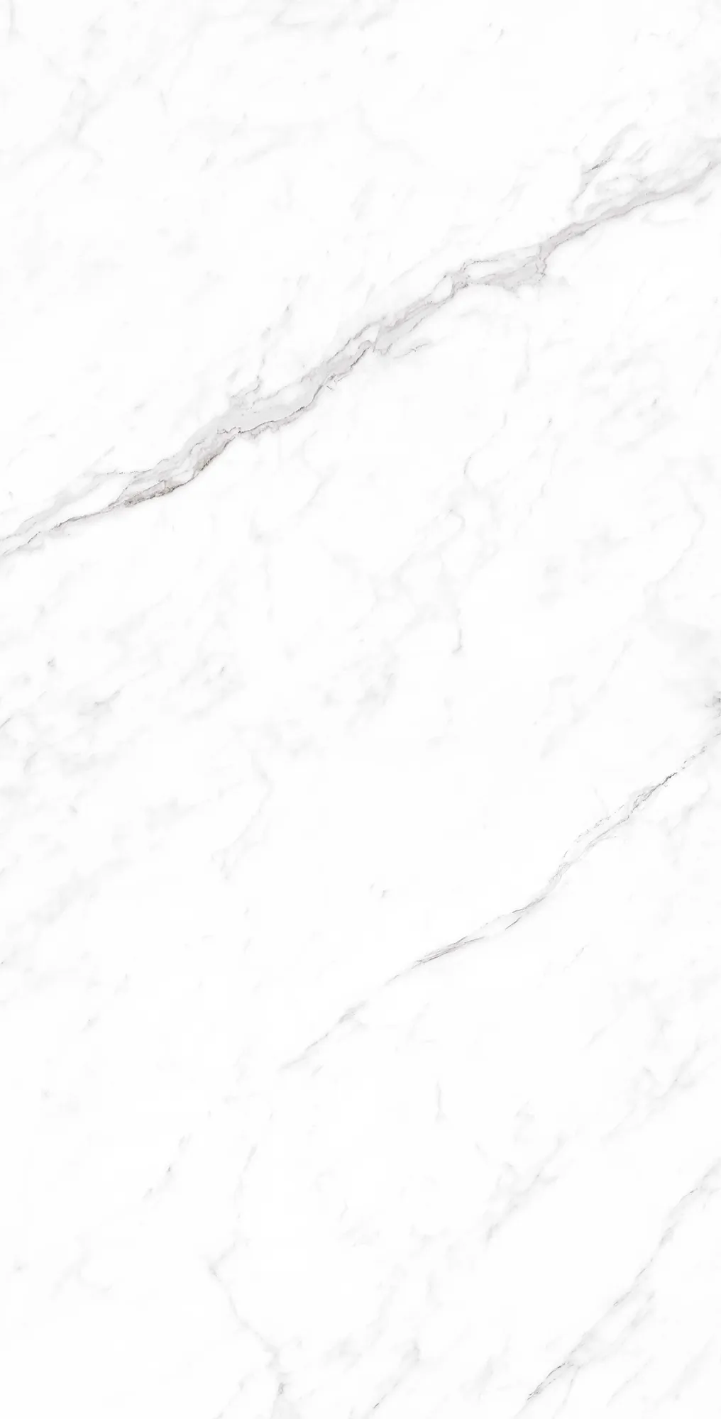 Керамогранит CP4003-A Coralina White Carving Pro 60x120
