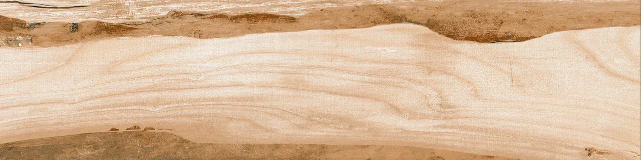 Керамогранит 0054 PHOENIX 60х15х08