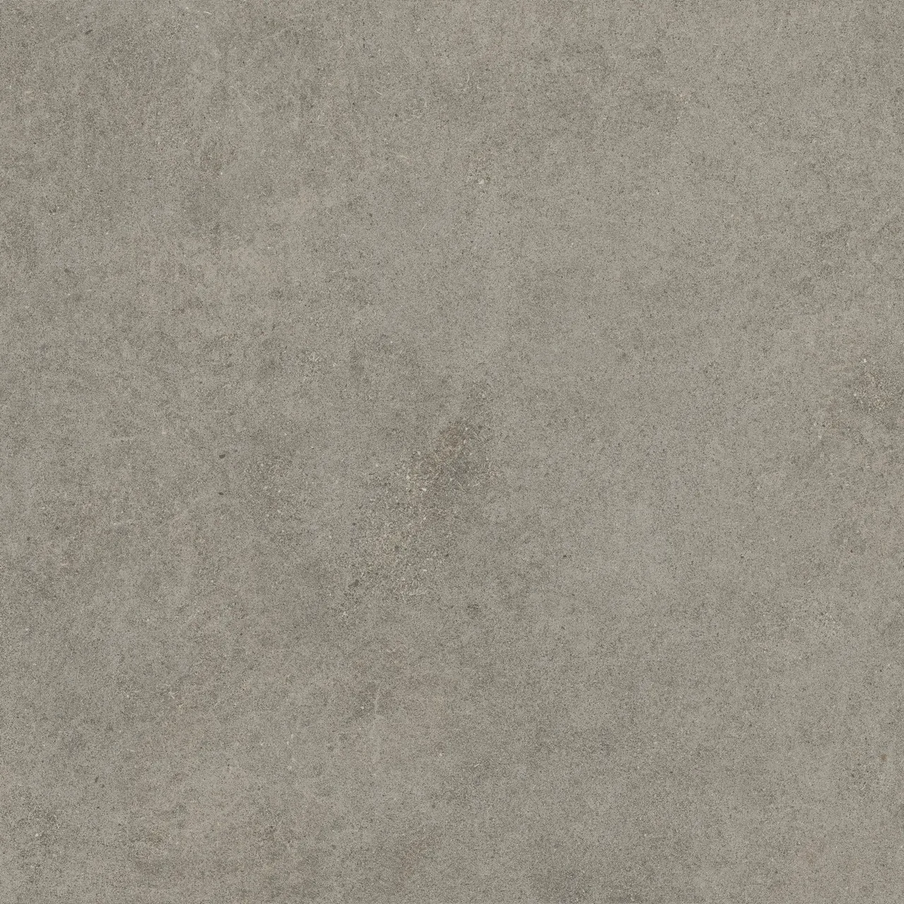 Керамогранит 600010002429 Forte dei Marmi Rock Lunar Grey Matt Rett 120x120