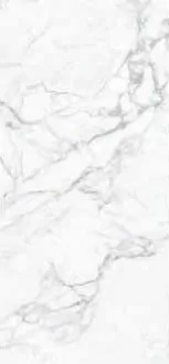 Керамогранит MN033AP271206 Calacatta Extra Polished 6mm 120x270