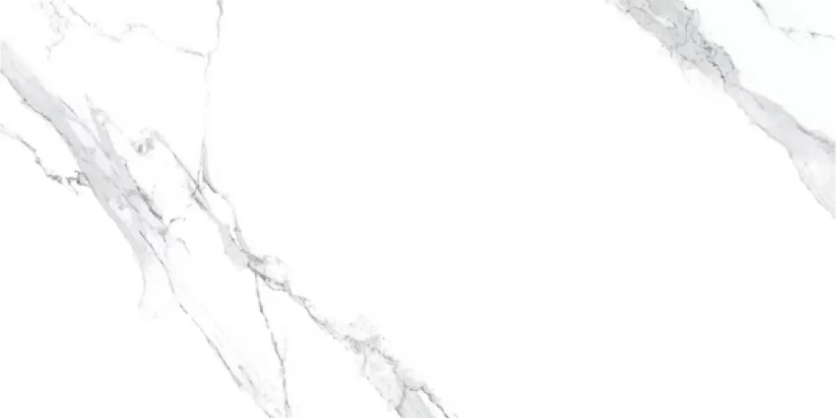 Керамогранит AM22-16 Elite Satuario серебристо белый полированный 120х60