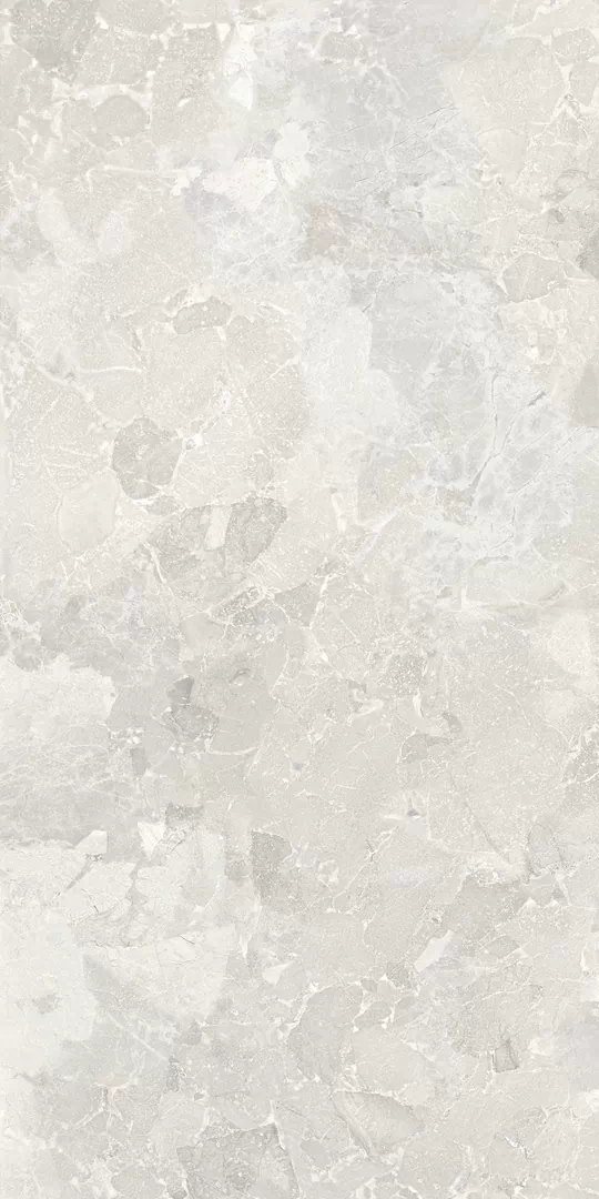 Керамогранит 304201 Argos White 60x120