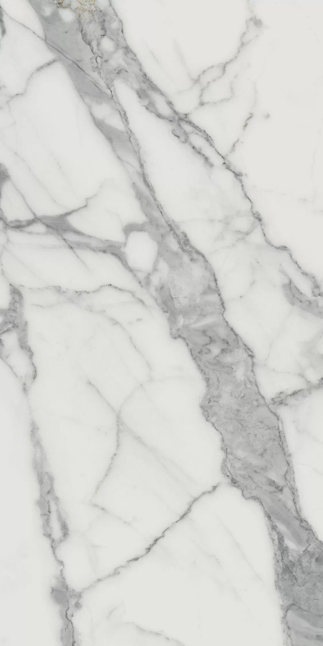 Керамогранит 610010001410 Charme Evo Statuario Nat Ret 60х120