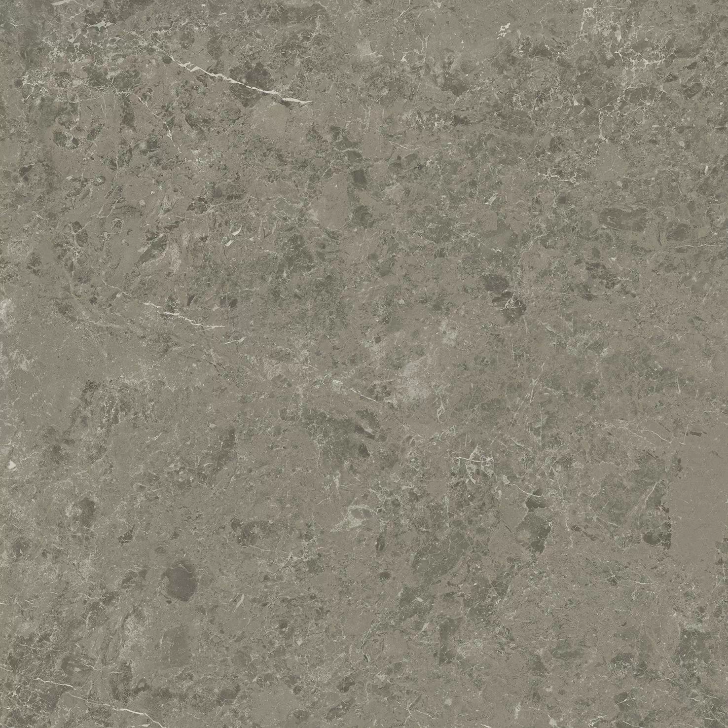Керамогранит AJJD Marvel Meraviglia Grigio Elegante Matt 60x60
