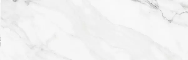 Плитка INSIGNIA WHITE Matt 31,6x100