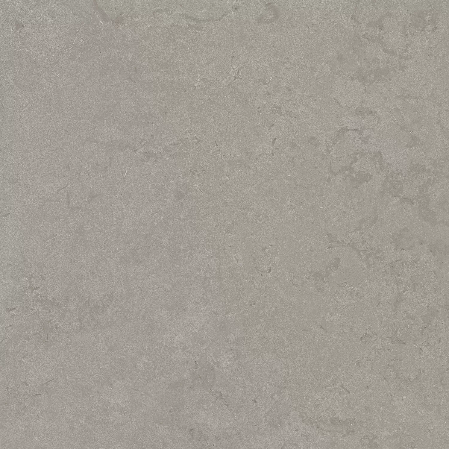 Керамогранит DD640900R Про Лаймстоун серый натуральный обрезной R10 60х60