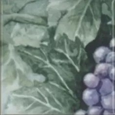 Плитка Monocolor Composicion Acuarela Uvas 20х40