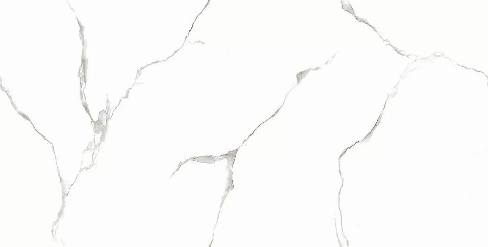 Керамогранит Silver White PGVT 60x120