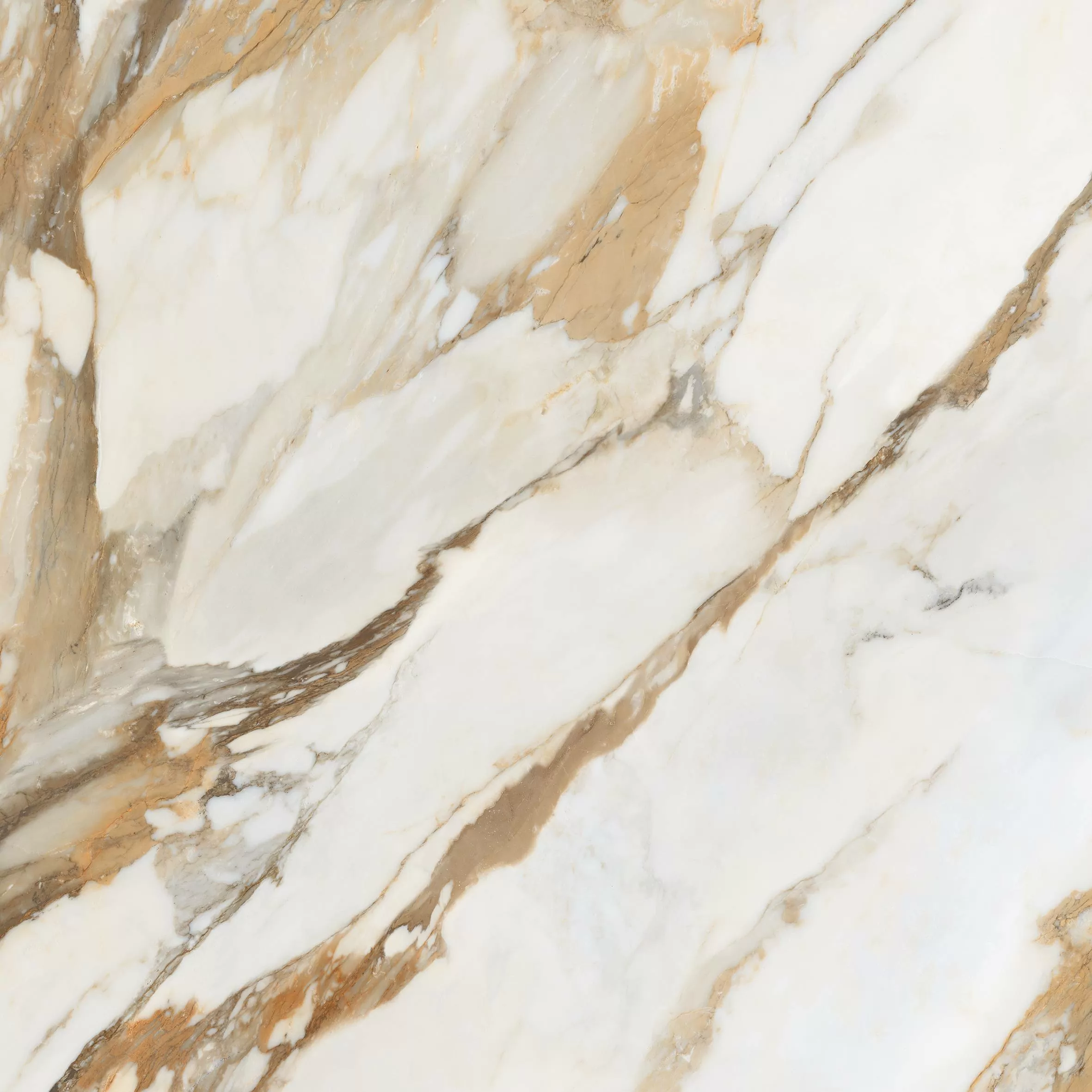 Керамогранит Calcatta Gold Borghini 60x60