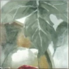 Плитка Monocolor Composicion Acuarela Uvas 20х40