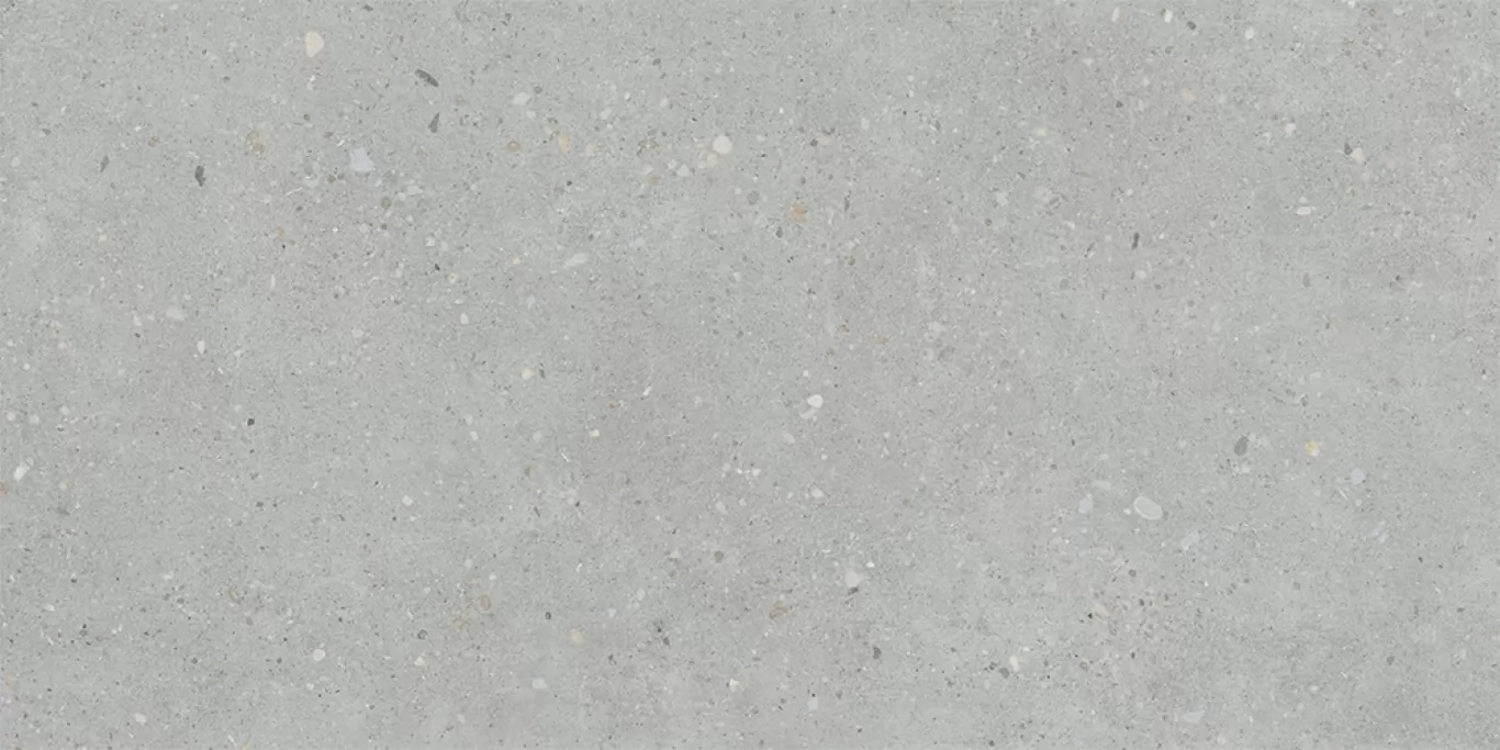Керамогранит K947893R0001VTSP FlakeCement Серый Матовый R10A Ректификат 9мм 60x120